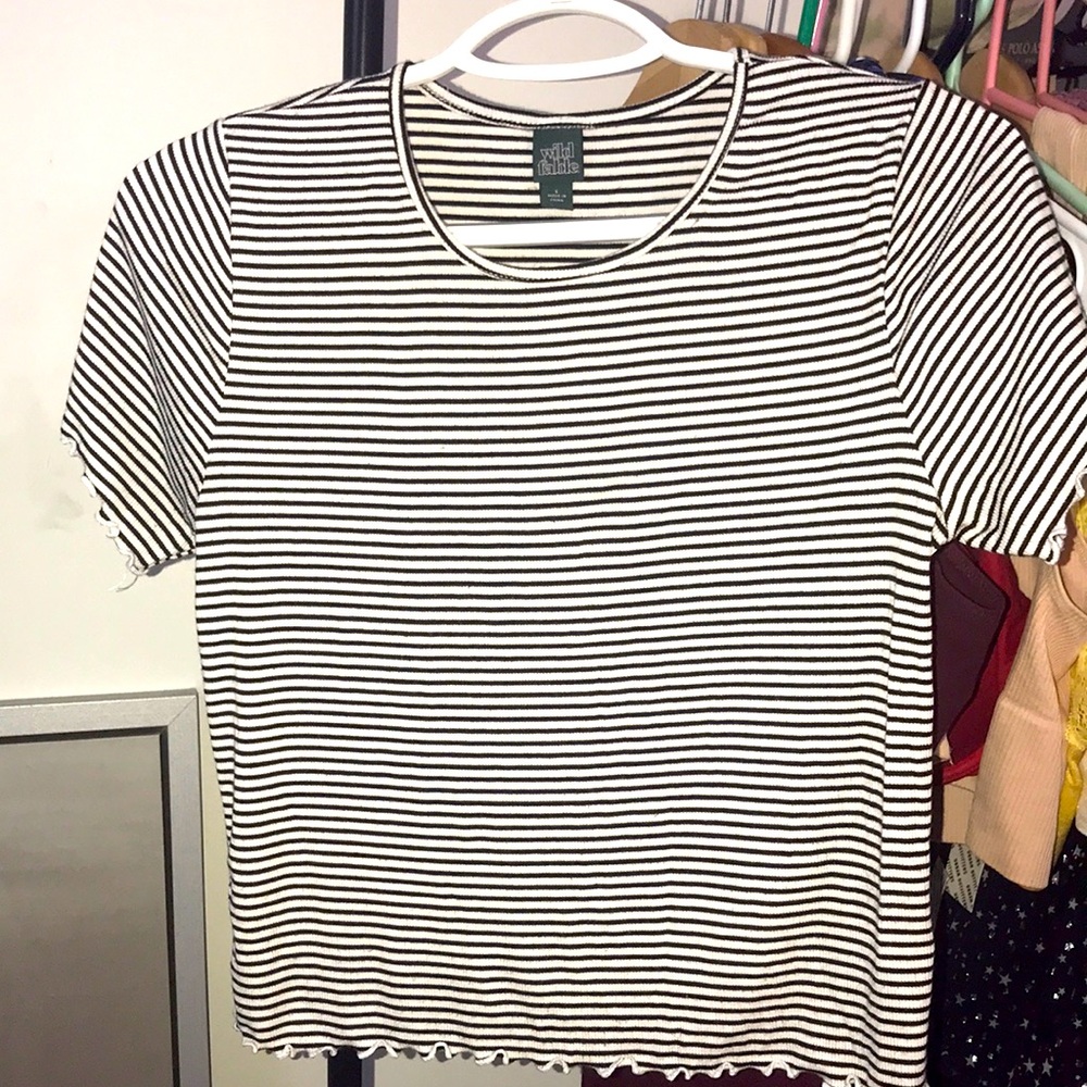 Wild Fable Black and white striped crop tee 🤍